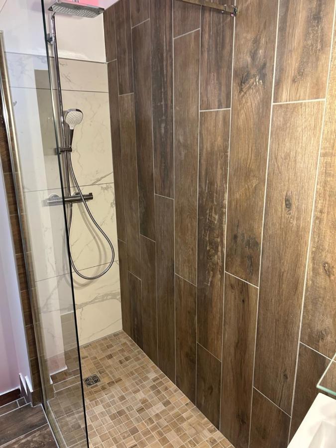 Chambre La Suite Pres Gare Grenoble Ngoại thất bức ảnh